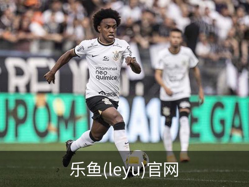 乐鱼(leyu)官网介绍
